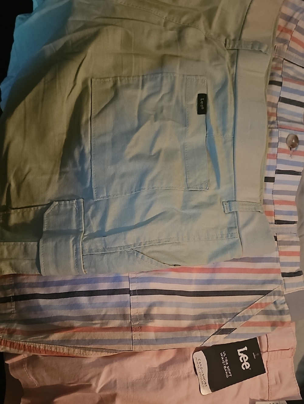 Lee Women's Cargo Shorts in Light Mint